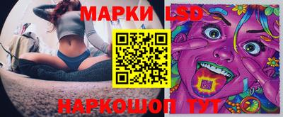 apvp Новодвинск