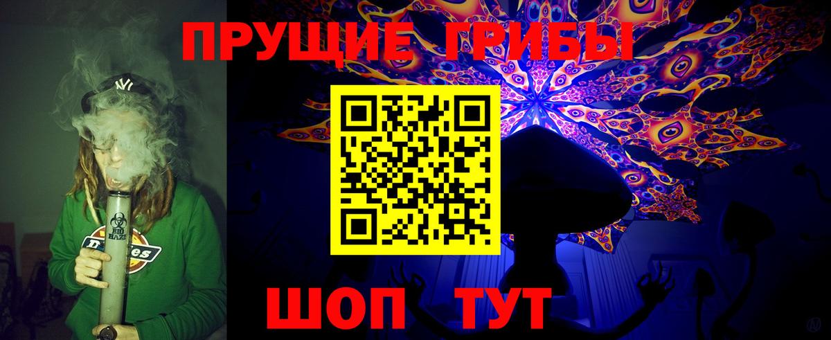 Псилоцибиновые грибы GOLDEN TEACHER  Вход с VPN  Смоленск  Псилоцибиновые грибы прущие грибы 